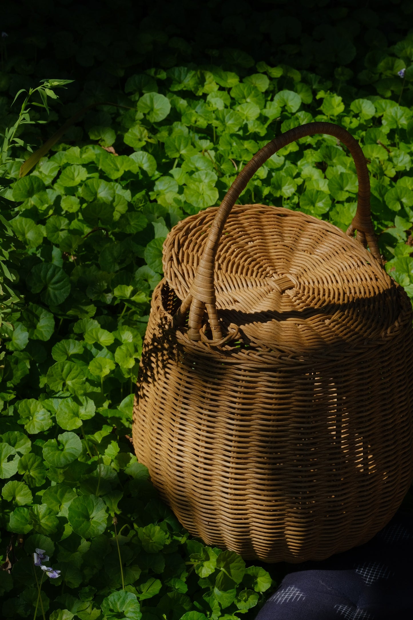 Jane B Basket