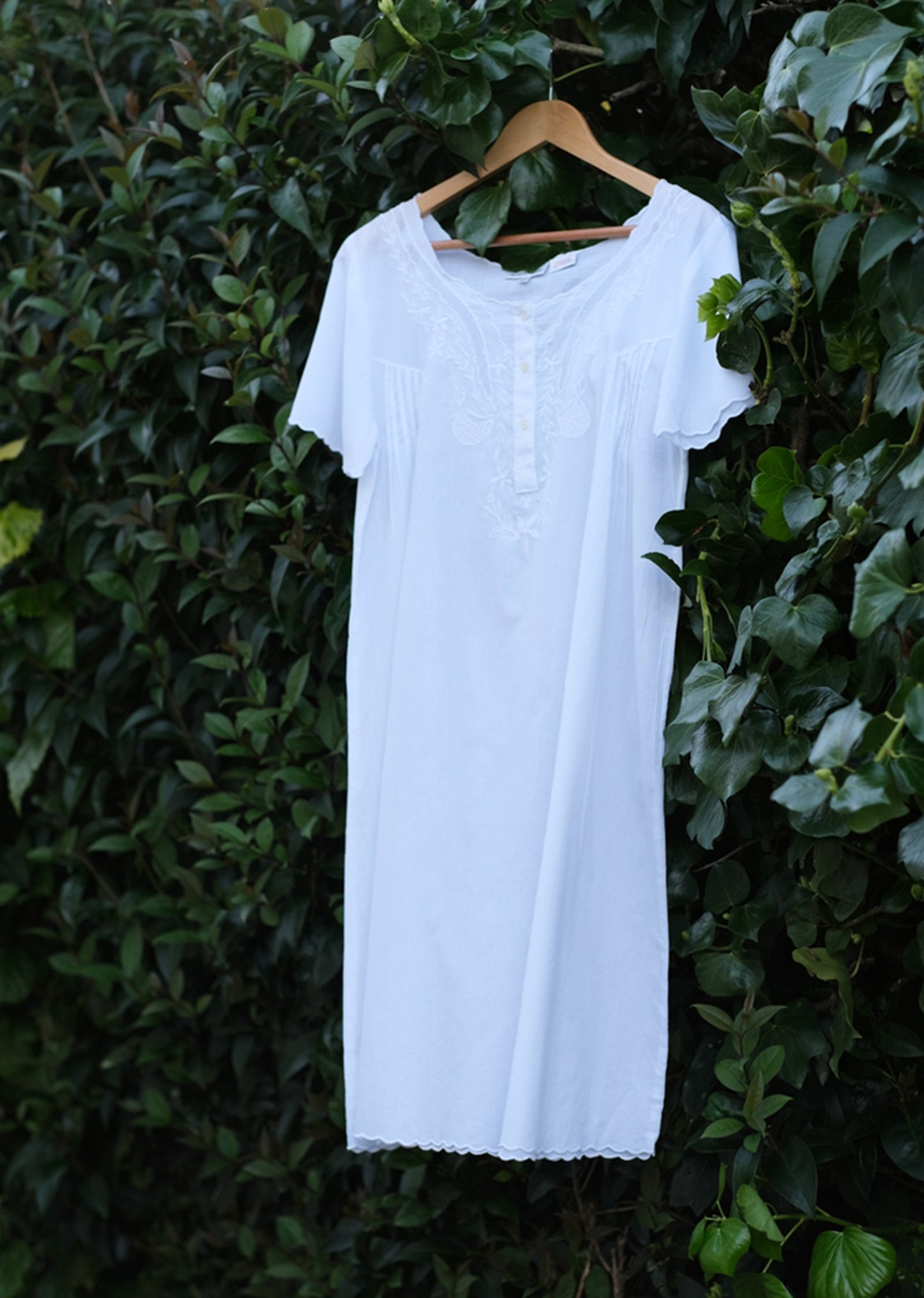 The Primrose pre-order