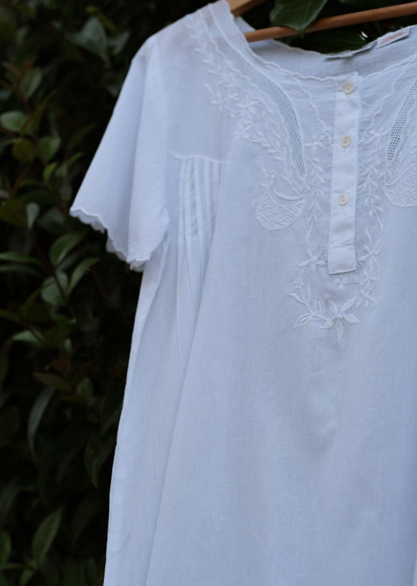 The Primrose pre-order