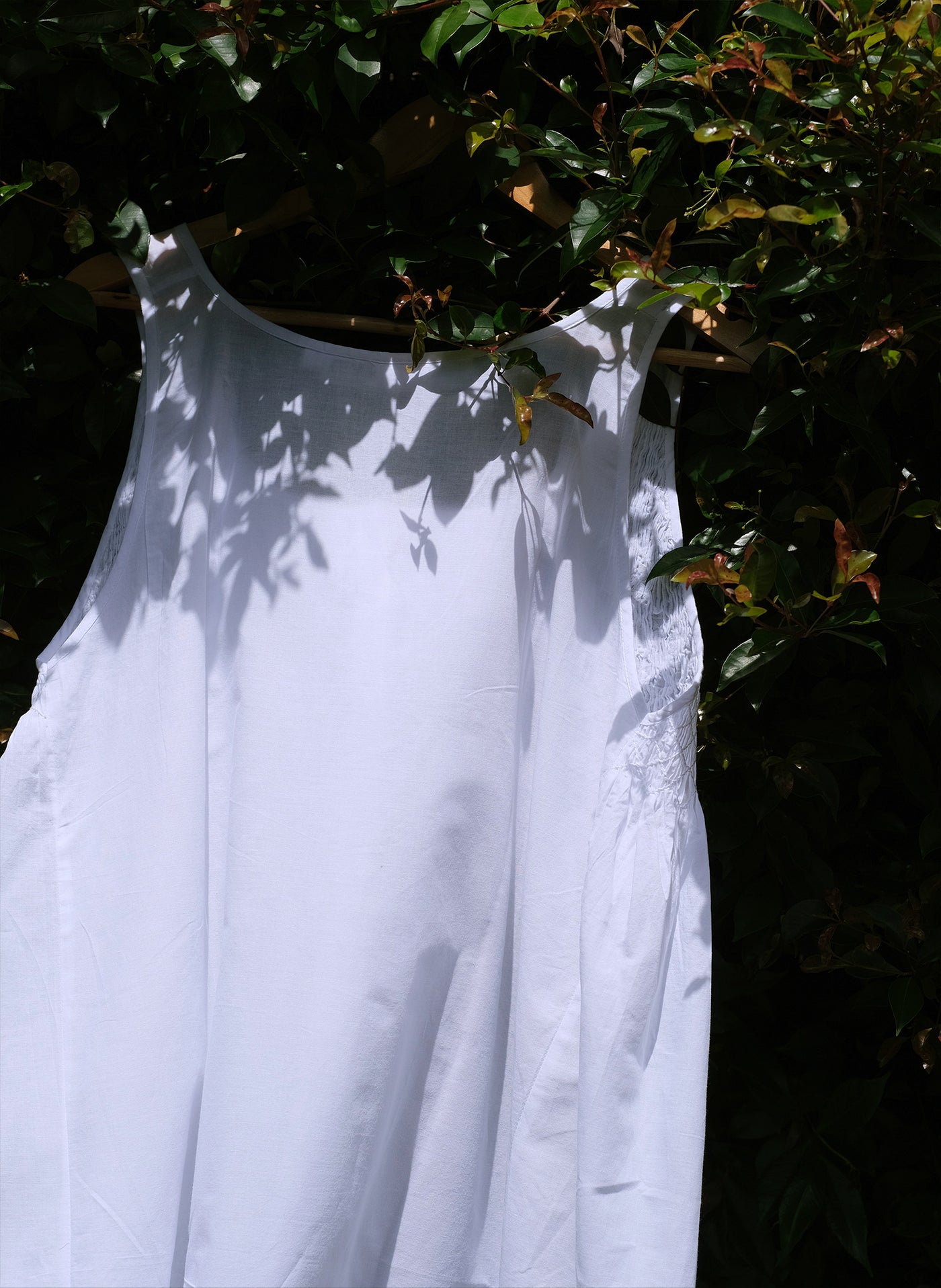 The Ivy pre-order
