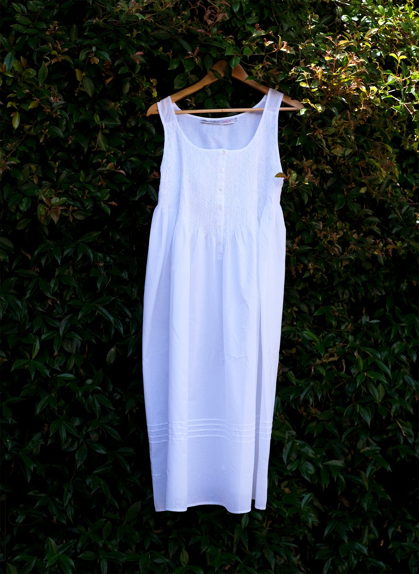 The Ivy pre-order