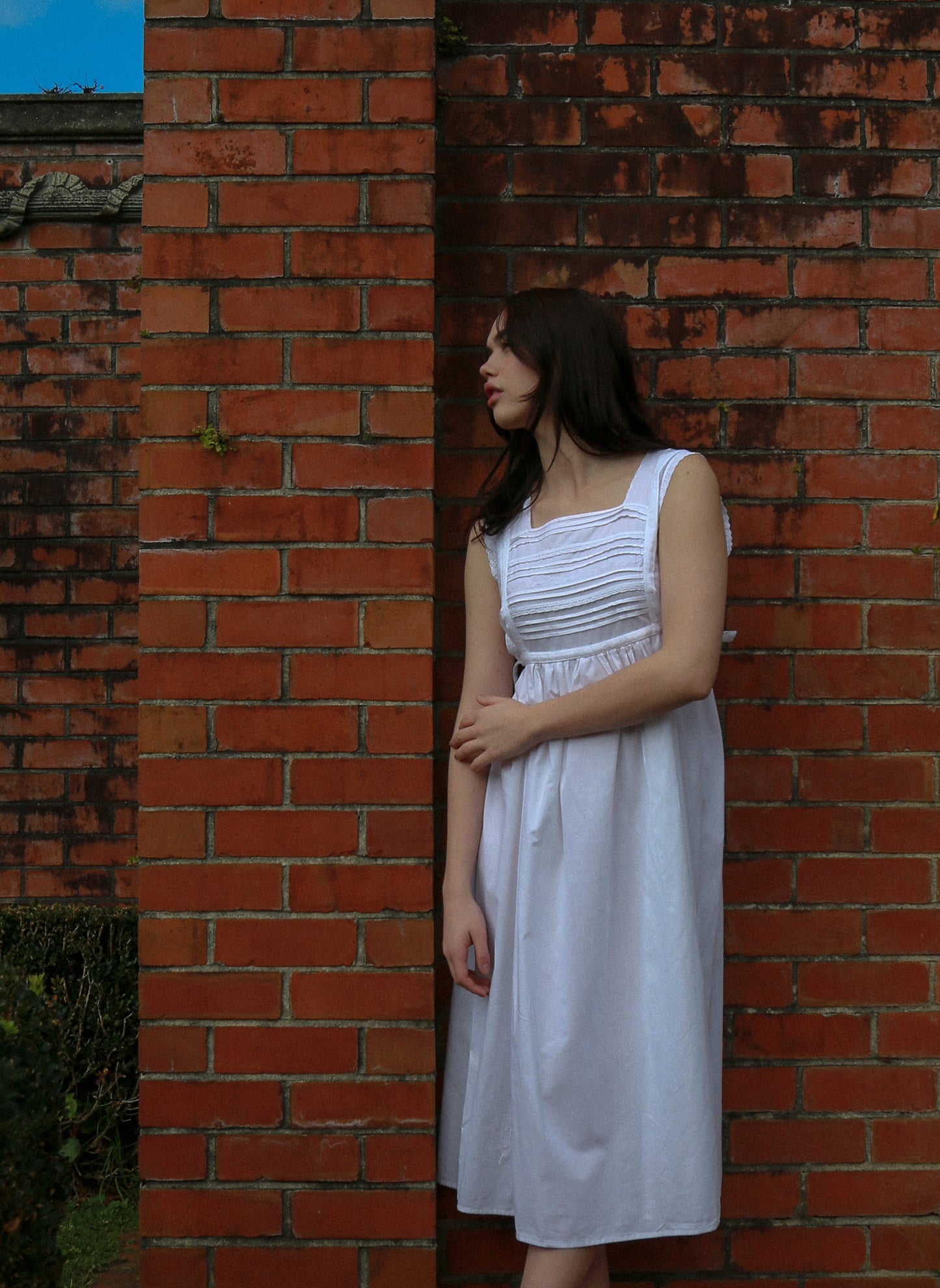 The Lily