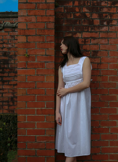 The Lily